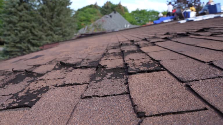 Fast & Reliable Emergency Roof Repairs in Shell Lake, WI